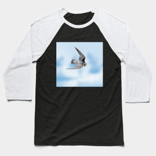 Peregrine falco peregrinus Baseball T-Shirt